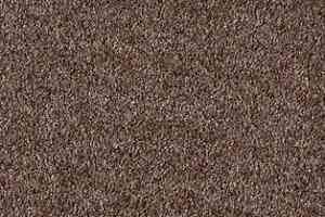 Ковролин AW Parana 44 фото  | FLOORDEALER